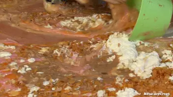 Eggy Snatch Screencap 119 on sinx.preview.netperv.com