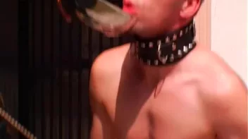 Dog Training with Gina Screencap 44 on sinx.preview.netperv.com