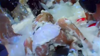 Bangstas Paradise Part 5 - Main Edit Screencap 67 on sinx.preview.netperv.com