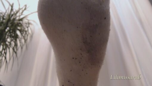 Latest deal - My sock slave