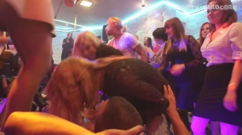 Party Hardcore Gone Crazy Vol. 16 Part 4 - Cam 4 Screencap 74 on sinx.preview.netperv.com