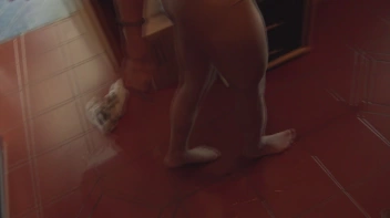 In eine fremde Wohnung gepisst Screencap 48 on sinx.preview.netperv.com