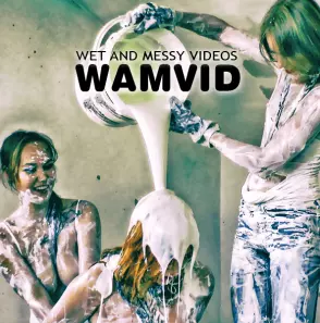 Wam Vid