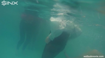 Hot Babes' Wet and Wild Poolside Antics Screencap 18 on sinx.preview.netperv.com