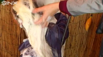 Pretty Blonde Is Soaked While Getting Hair Washed Screencap 40 on sinx.preview.netperv.com