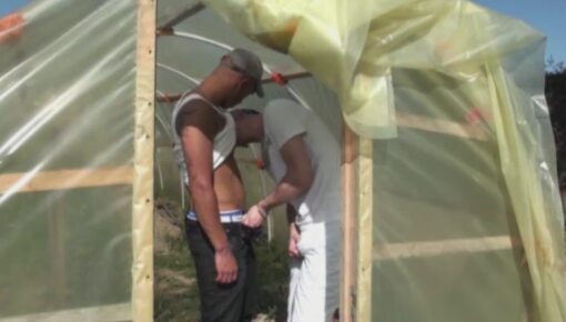 Latest deal - arab fucked by twink in exhib garden