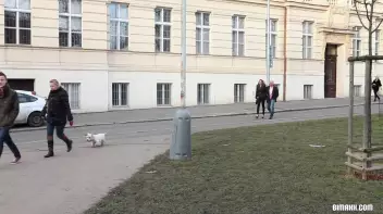 Picking Up Their Afternoon Bi-Fuck Screencap 1 on sinx.preview.netperv.com