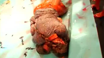 Grease Trap of Annihilation! Screencap 42 on sinx.preview.netperv.com