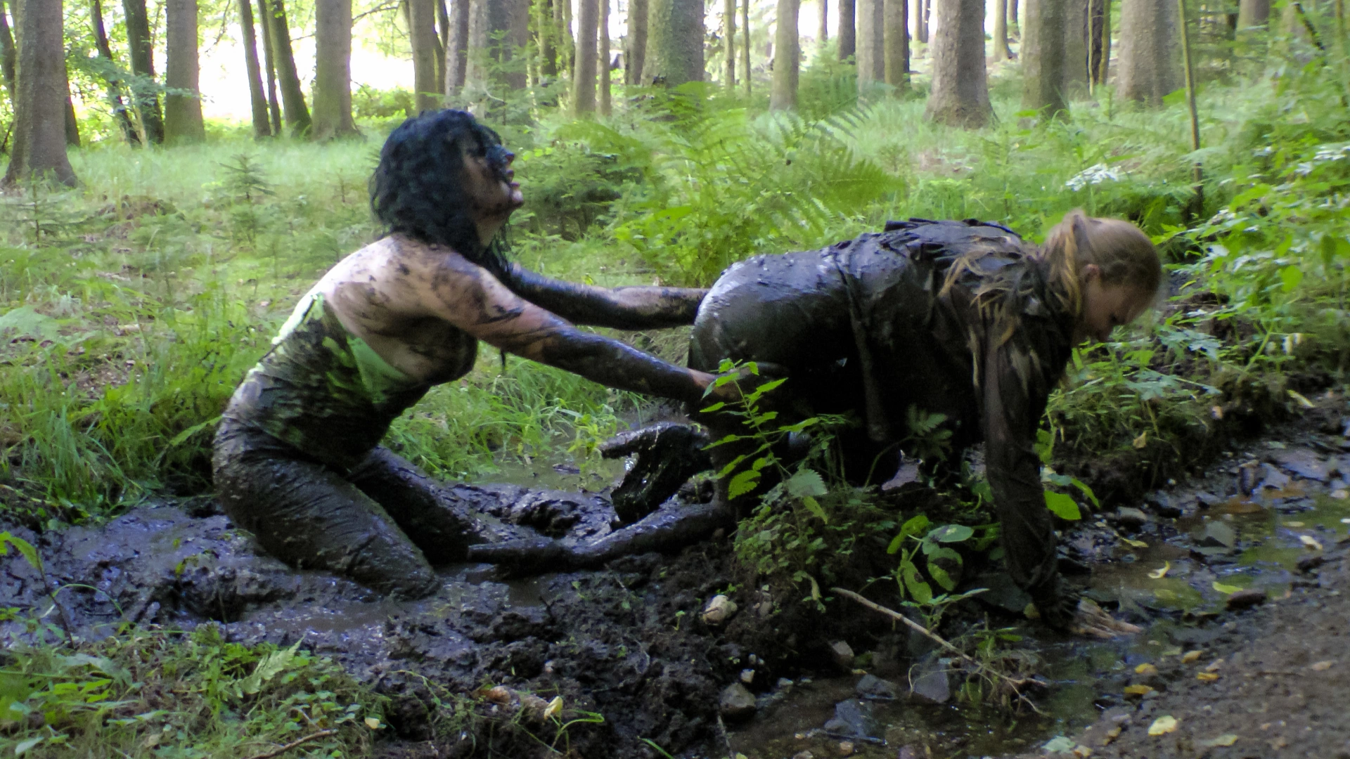 A Fiery Catfight In The Forest on sinx.preview.netperv.com