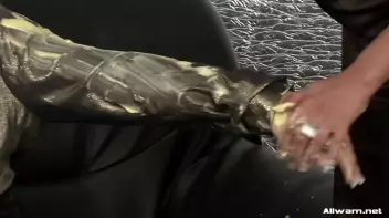 All Purpose Eurobabe Cream Infomercial Screencap 28 on sinx.preview.netperv.com