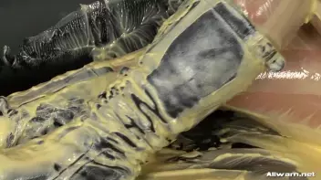 All Purpose Eurobabe Cream Infomercial Screencap 48 on sinx.preview.netperv.com