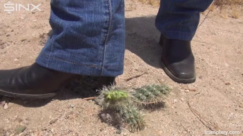 Denim Clad Babe Tramples On Cactus In The Desert Screencap 25 on sinx.preview.netperv.com