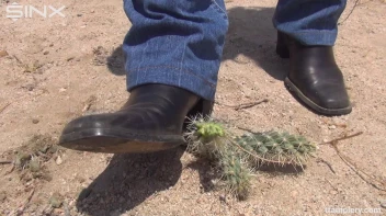 Denim Clad Babe Tramples On Cactus In The Desert Screencap 27 on sinx.preview.netperv.com