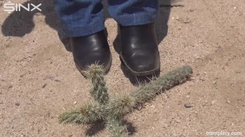 Denim Clad Babe Tramples On Cactus In The Desert Screencap 3 on sinx.preview.netperv.com