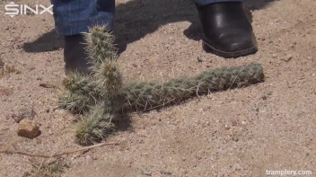 Denim Clad Babe Tramples On Cactus In The Desert Screencap 4 on sinx.preview.netperv.com