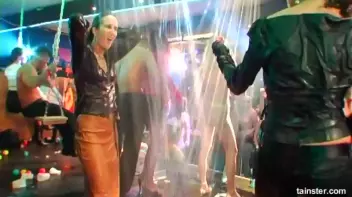 Swingers Ball Part 6 - Cam 3 Screencap 52 on sinx.preview.netperv.com