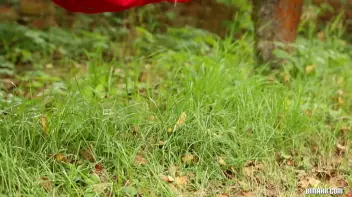 Hunks And Hammocks For The Bi Win Screencap 1 on sinx.preview.netperv.com