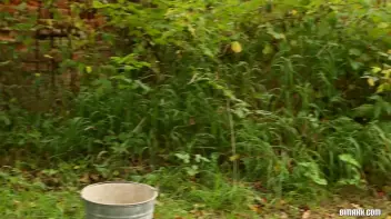 Hunks And Hammocks For The Bi Win Screencap 122 on sinx.preview.netperv.com