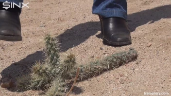Denim Clad Babe Tramples On Cactus In The Desert Screencap 5 on sinx.preview.netperv.com