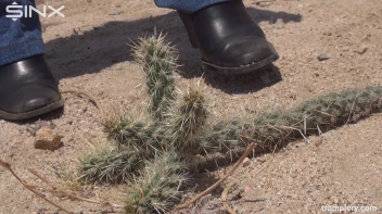 Denim Clad Babe Tramples On Cactus In The Desert Screencap 6 on sinx.preview.netperv.com