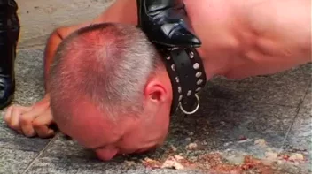 Dog Training with Gina Screencap 63 on sinx.preview.netperv.com