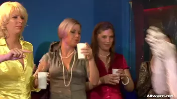 Wedding Babes Bitch Battle Screencap 70 on sinx.preview.netperv.com