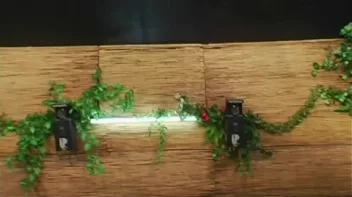 Anastazie Blue's Protein Diet Screencap 59 on sinx.preview.netperv.com