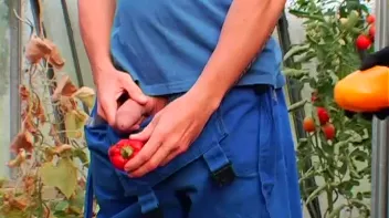 I Wouldn't Piss On Fire to Put You Out! Screencap 4 on sinx.preview.netperv.com