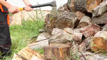 Real Men Work That Wood Screencap 1 on sinx.preview.netperv.com