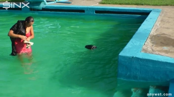 Waterpark Fun For Fully Clothed Brunette Babe Screencap 36 on sinx.preview.netperv.com
