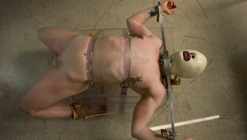 Latest deal - Human Subject Use