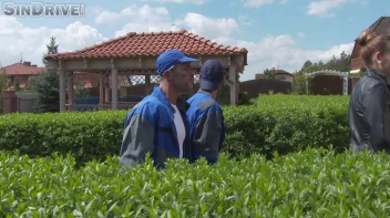 Plumbers Get A Taste Of Alexa Candy As They Plug Up Her Ass Pipe And Pound Her Mega Tits Screencap 10 on sinx.preview.netperv.com