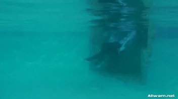 Satin And Fur Wetlook Bunnies Screencap 68 on sinx.preview.netperv.com