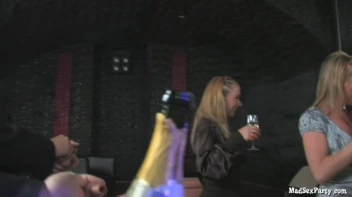 The V.I.P. Room P1 Screencap 5 on sinx.preview.netperv.com