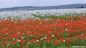 Outdoor golden shower Screencap 101 on sinx.preview.netperv.com