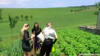 Three Beauties Make A Mess Of Themselves In The Backyard Screencap 15 on sinx.preview.netperv.com