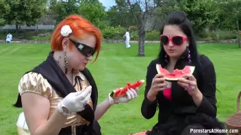 The Craziest Tourist Attraction In Town! Screencap 18 on sinx.preview.netperv.com