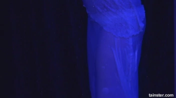 White Sensation Part 4 - Cam 4 Screencap 22 on sinx.preview.netperv.com