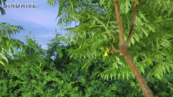 Stereo Fist Fuck - Marica Hase & Bibi Noel In Oily Fist and Dick Foursome Screencap 1 on sinx.preview.netperv.com