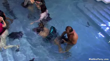 Cougar Crew Part 3 Screencap 52 on sinx.preview.netperv.com