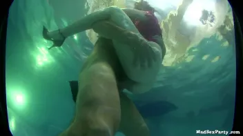 Cougar Crew Part 3 Screencap 16 on sinx.preview.netperv.com