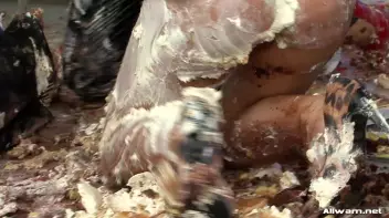 What Happened To Dignity, Ladies!? Screencap 98 on sinx.preview.netperv.com