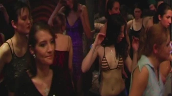 Sluts And Suits Part 3 - Cam 2 Screencap 36 on sinx.preview.netperv.com