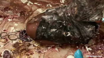 Box of WaM Screencap 69 on sinx.preview.netperv.com