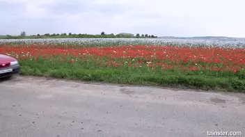 Outdoor golden shower Screencap 9 on sinx.preview.netperv.com