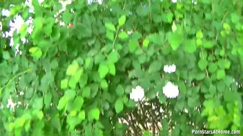 Totally Exposed BJ And Loving It! Screencap 44 on sinx.preview.netperv.com