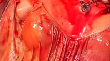 Nika's Syrup Insanity Screencap 42 on sinx.preview.netperv.com