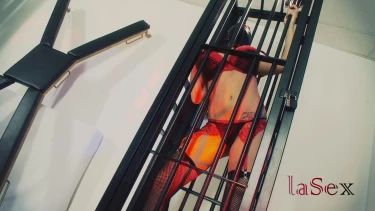 Latest deal - BDSM Lesson