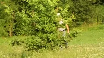 The Quest for The Golden Liquid Screencap 1 on sinx.preview.netperv.com