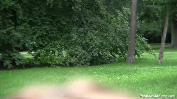 Piss Pounded In The Park Screencap 32 on sinx.preview.netperv.com